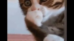 Веселая песня воскресенье суббота