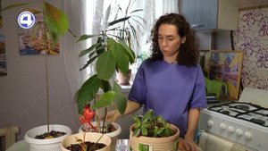 ЗАБОТИМСЯ О КОМНАТНЫХ РАСТЕНИЯХ: Осмотрите листья, чтобы узнать, здоров ли цветок! 13.05.204