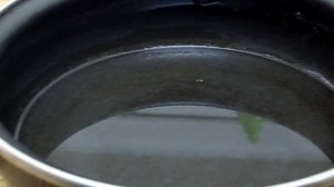 Капуста маринованная