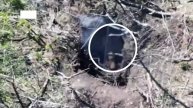 ‼️🇷🇺«🅾️тважные» освободили Лысовку под Покровском — Минобороны !!!