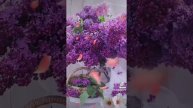 VID-20250507-WA0188