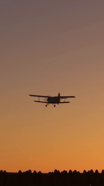 ПЬЯНЫЙ ПИЛОТ КАТАЛ ЛЮДЕЙ ЗА ДЕНЬГИ! КАТАСТРОФА АН-2 ПОД
