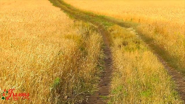 Молодой агроном - Ансамбль Калина. _Full-HD.mp4 смотреть онлайн