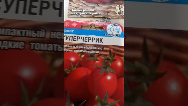 Эти  ранние  сорта  томатов   буду  сеять  в  марте!!!