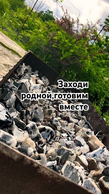 Еда,шашлык,мясо,рыба,только все лучшее для вас мои род?