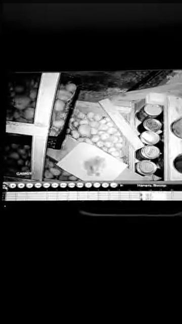 Кто хозяин в погребе? смотреть онлайн