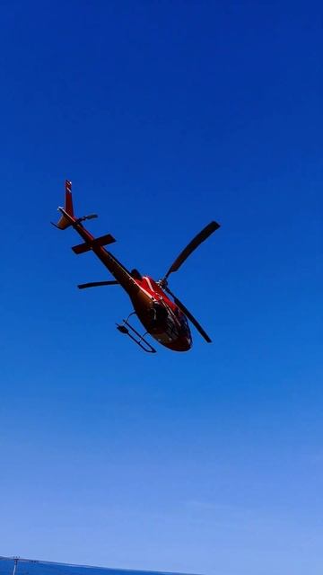 Лучшая работа в мире #чукотка #анадырь #дальнийвосток # смотреть онлайн