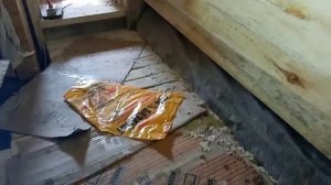 Обработка антисептиком парной/помывочной бани