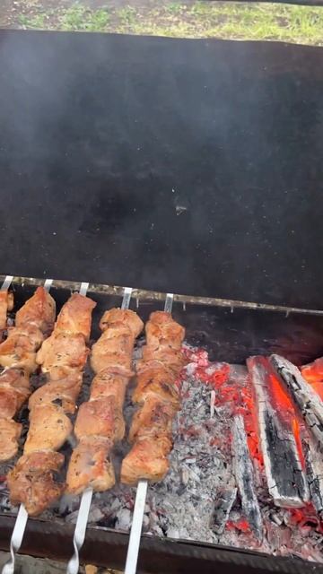 Шашлык отдых Крым Майские Природа #shorts #shortvideo #шашлык #? смотреть онлайн