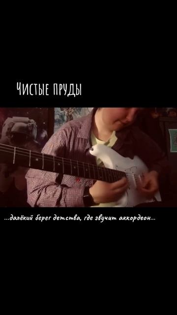 Чистые пруды. Соло аккордеона. смотреть онлайн