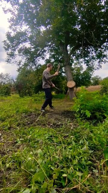 как метать топор ‼️🪓🎯#метание #топор #метатель #топ? смотреть онлайн