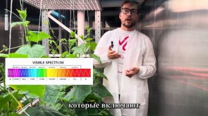 Видео 3: Важность фитоламп в выращивании микрозелени