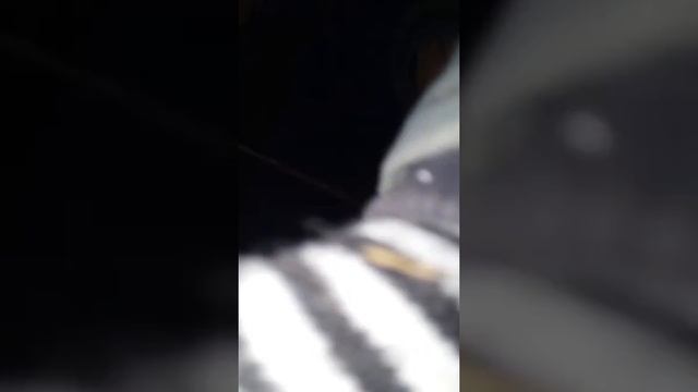 Дерево батут