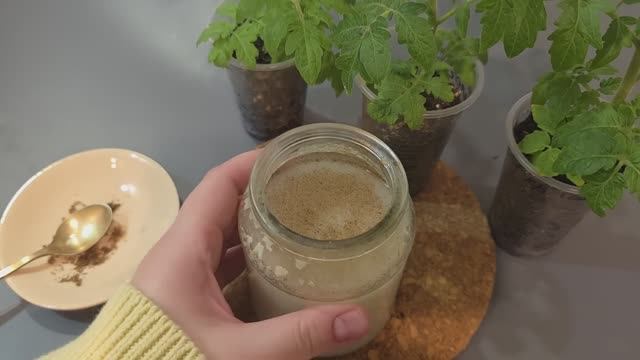 🌱 КАК ВЫРАСТИТЬ РАССАДУ-БОГАТЫРЯ: ЖЕЛЕЗНЫЕ ПРАВИЛА ДЛЯ МЕГАУРОЖАЯ