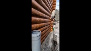 Нанесение шовного герметика на бревно