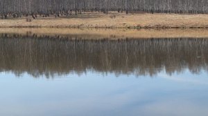 Рыбалка весенний карась озеро Ольгино 2025