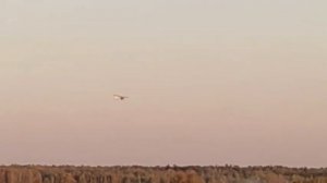 Облет очередного ФИЛИНА. Самолёт до 115 кг EL BUHO. Ультра л