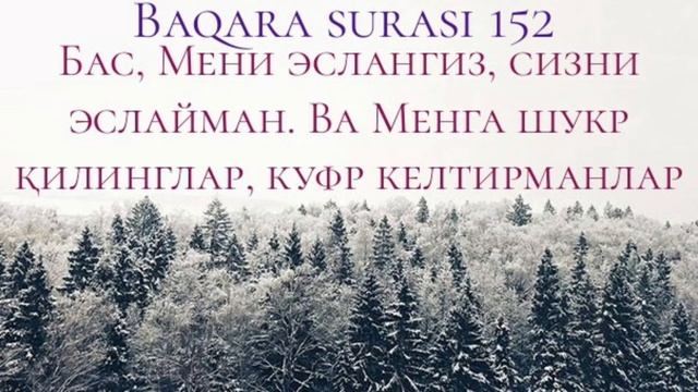 752-Савол: Мулк сураси ўқишлик қабр азобидан панох бўладими?(Шайх Абдуллоҳ Зуфар Ҳафизаҳуллоҳ) смотреть онлайн