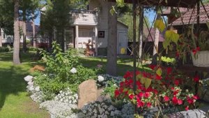 Стараюсь оставлять растения в теплице как можно дольше, чтобы быть с  овощами до поздней осени