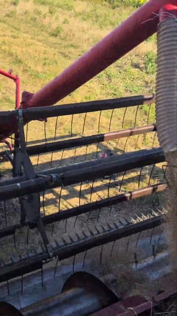 30.08.24 Суета в Поле) Посев озимых!#деревня#село#сельское? смотреть онлайн