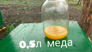 Экстренная !!! Подкормка Пчёл Весной !!!