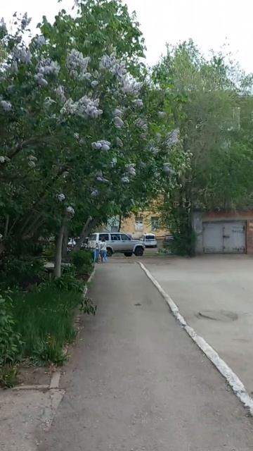 #Самара. 2 мая. Плюс 17. Душно. Какая погода в вашем город? смотреть онлайн