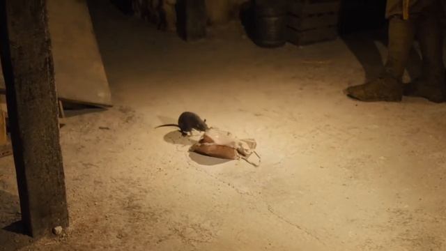 Во всём виновата крыса | 1917 2019 смотреть онлайн