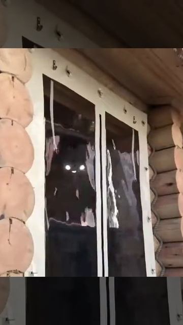 Мягкие окна для беседки из сруба. (г. Краснодар) смотреть онлайн