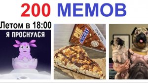 200 МЕМОВ. Лунтик проснулся после тусы #приколы  #юмор  #мемы