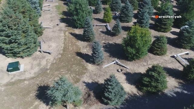 Посадка Саженцев Осенью в Открытый Грунт | Ошибки и Со? смотреть онлайн