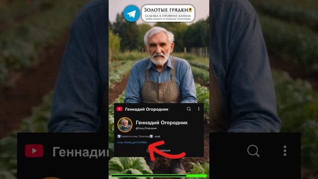 Лучшие соседи моркови: что сажать рядом #садоводство #? смотреть онлайн