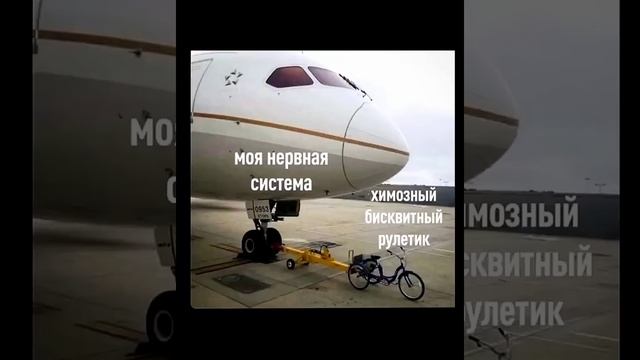 Пушистый позитив: котики, которые сегодня в центре вни