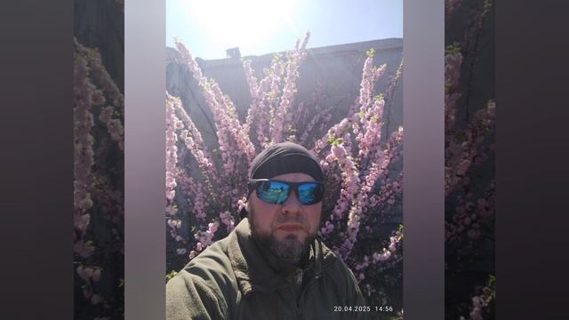 Сигма бой.mp4 смотреть онлайн