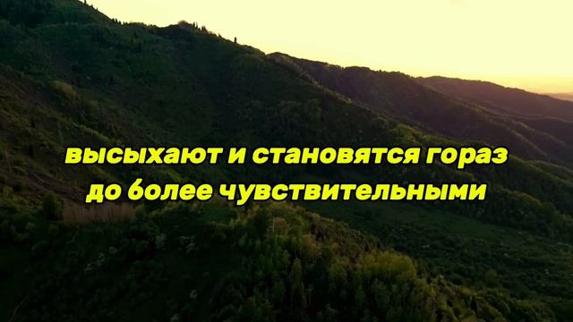 Как часто следует мыться женщинам старше 70 лет? 8 шокир