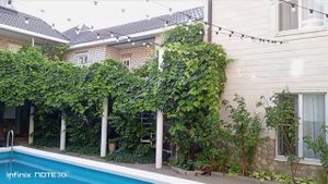 Село Архипо-Осиповка ул. Кленовая 3