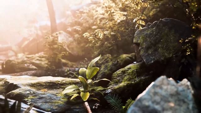 Миллионер каждую ночь отправлял малышку в сарай к осл? смотреть онлайн