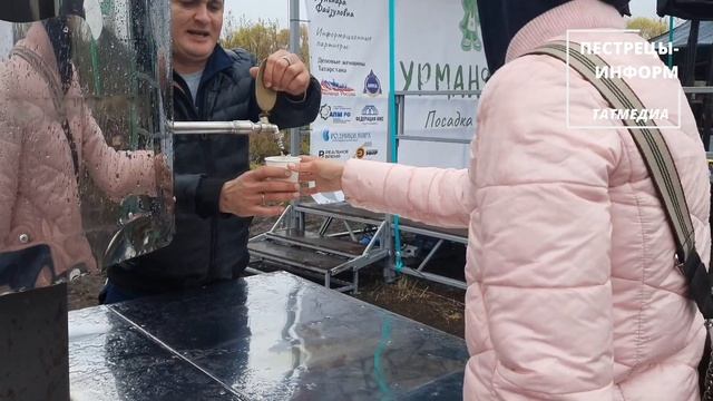 В Пестречинском районе посадили 100 тысяч молодых дере? смотреть онлайн