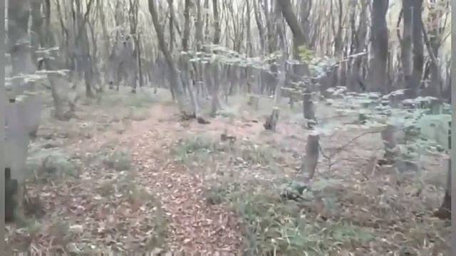 Всё произошло на кухне