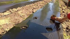 отверстия в плёнке, как я их делаю