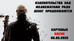 Алексагины продолжают издеваться над медвежатами ради денег и контента в Тайгане , 6 мая