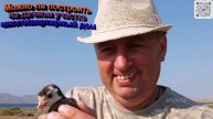 Можно ли построить на дачном участке многоквартирный дом