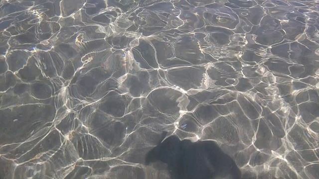 Поповка. Казантип.Чистейшая вода.