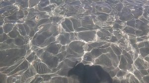 Поповка. Казантип.Чистейшая вода.