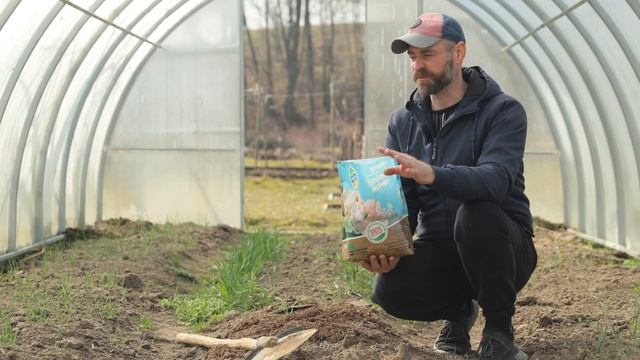 ВЕСЕННИЙ УРОЖАЙ ЗЕЛЕНИ И ОВОЩЕЙ. Первые весенние поса?
