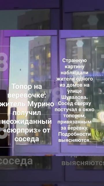 ⚠️Топор на веревочке: житель Мурино получил неожидан