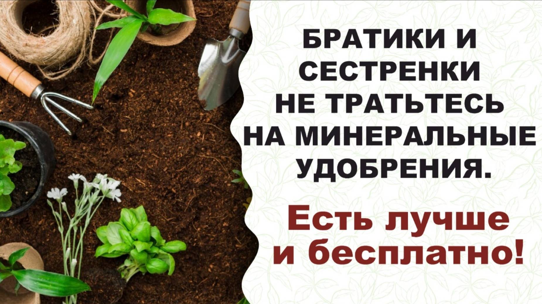 Азотные удобрения, так необходимые растениям весной. Где взять?