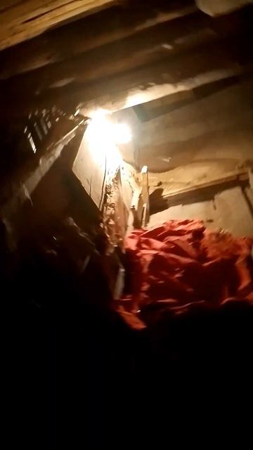 смотрю что у бабушки в подвале(там на каком то моменте смотреть онлайн