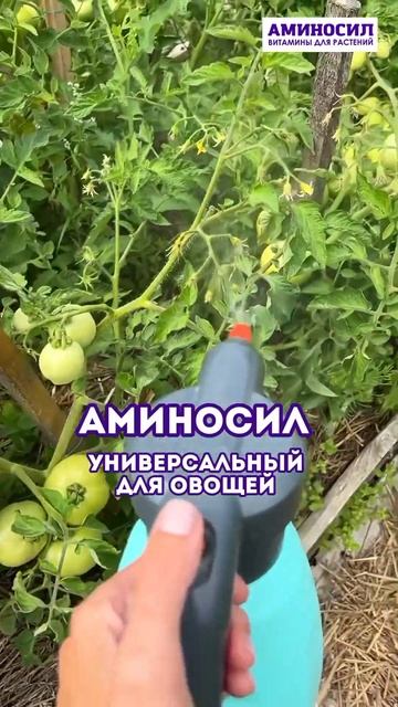 Заказать Аминосил универсальный для овощей можно на WB