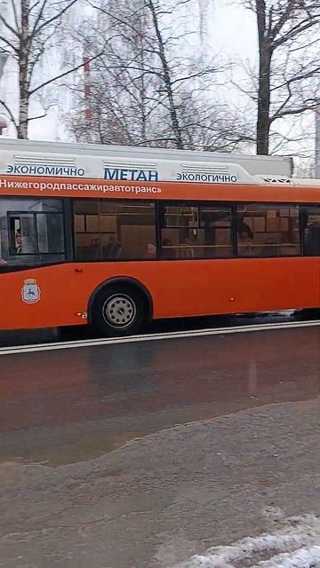 Автобусы Лиаз А-90 и А-51 транспорт автобус лиаз shorts