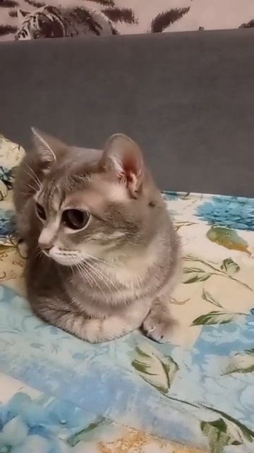 Мама шила мне штаны ☺️☺️☺️ смотреть онлайн